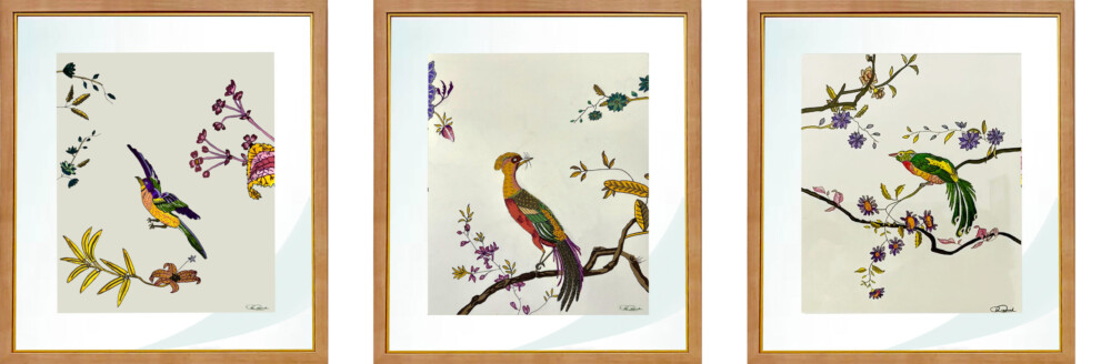 0076 Birds of a Feather - three pieces 21.5x28” each acrylic on fine art paper framed Brenda Breck Art | 0076 Birds of a Feather - three pieces 21.5x28” each acrylic on fine art paper framed